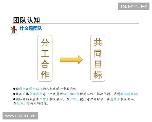 武汉足球队意识对比分析：从战术思维到团队协作的深度剖析