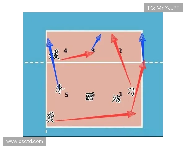 成都排球队的排球战术与运营体系探讨及其发展策略分析