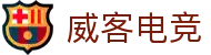 威客电竞(vkgame)-为竞技而生